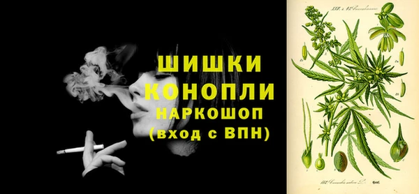 ГАЛЛЮЦИНОГЕННЫЕ ГРИБЫ Бугульма