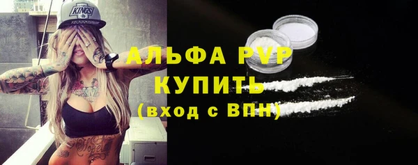 таблы Бородино
