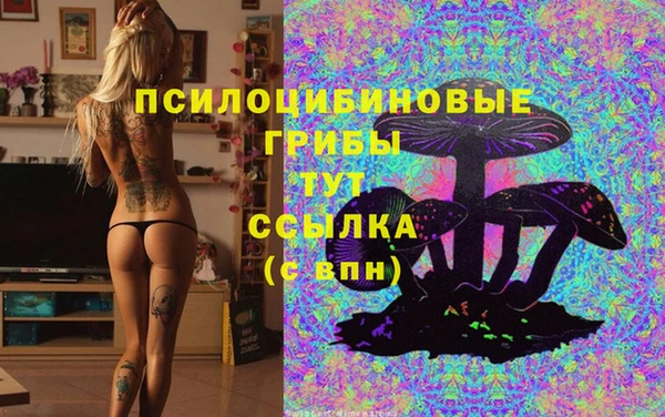 таблы Бородино