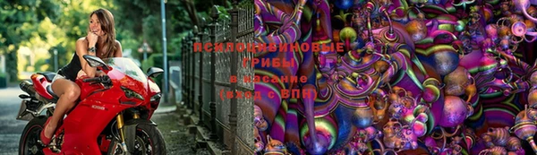 таблы Бородино