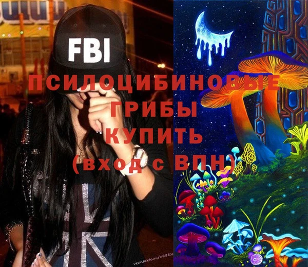 ГАЛЛЮЦИНОГЕННЫЕ ГРИБЫ Бугульма