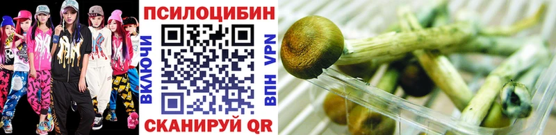 что такое   mega зеркало  Псилоцибиновые грибы Psilocybine cubensis  Бугульма 