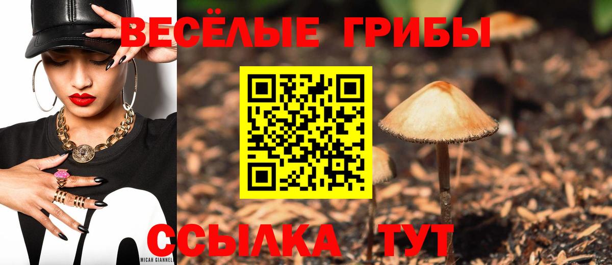 Псилоцибиновые грибы мицелий  Вход с VPN  Бугульма  купить закладку  Псилоцибиновые грибы Psilocybine cubensis 