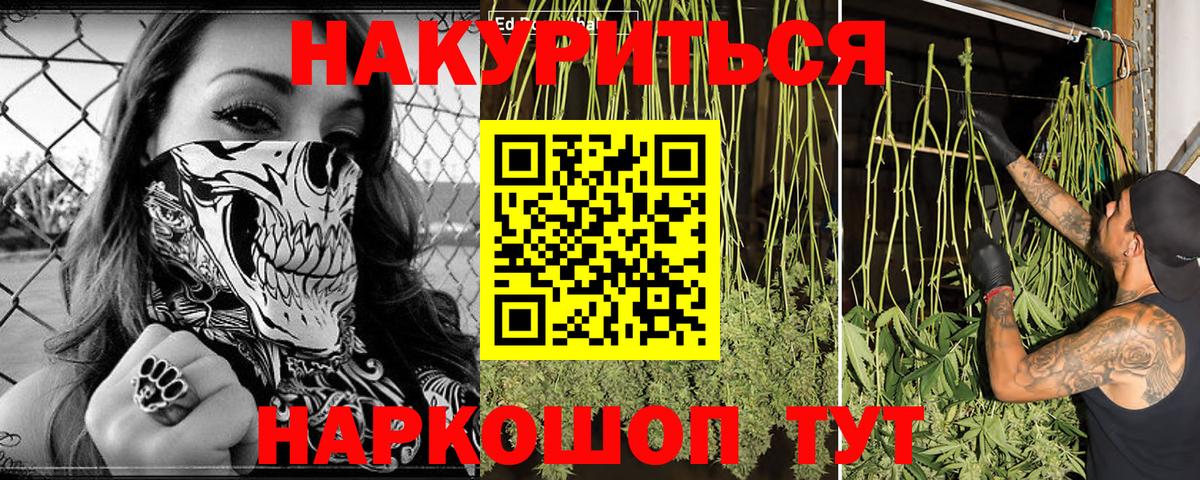 Марихуана Bruce Banner  МАРИХУАНА Bruce Banner  Бугульма  Канабис индика 